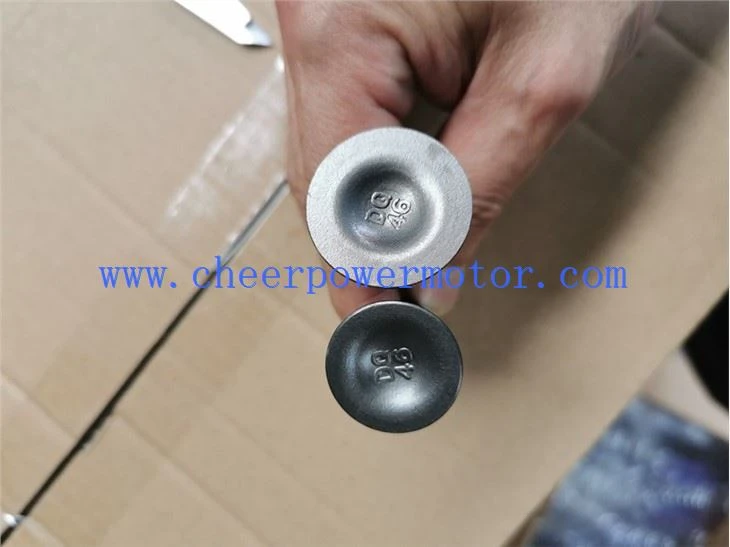 motorcycle Inlet Engine Valve For HONDA XR-125 (3)