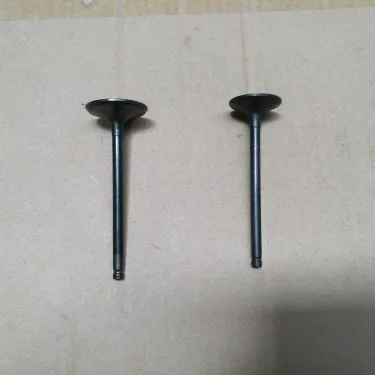 سوپاپ موتور قسمت موتور سیکلت برای QINGQI QM200GY