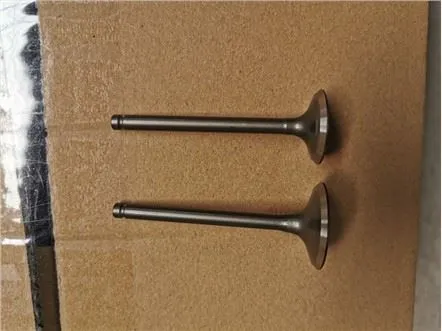 SHINERAY XY125-8X Exhaust Engine Valve For Motorbike